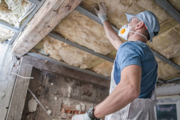 Best Residential Insulation in Wtell, LA